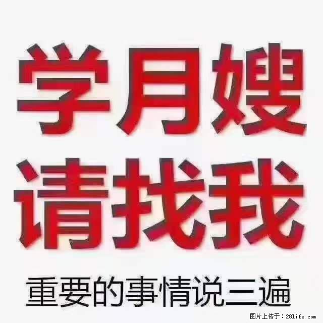 为什么要学习月嫂,育婴师? - 新手上路 - 驻马店生活社区 - 驻马店28生活网 zmd.28life.com