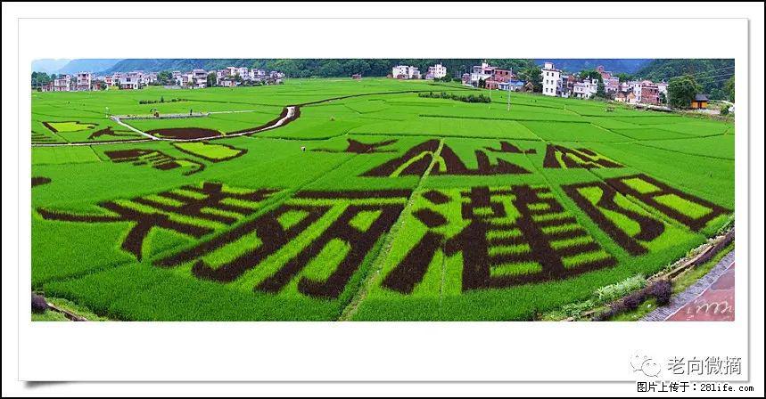 【春天，广西桂林灌阳县向您发出邀请！】开篇 - 游山玩水 - 驻马店生活社区 - 驻马店28生活网 zmd.28life.com