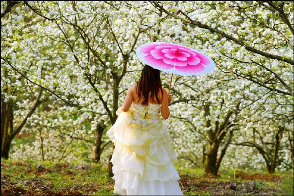 【春天,广西桂林灌阳县向您发出邀请!】我们在灌阳看梨花 - 游山玩水 - 驻马店生活社区 - 驻马店28生活网 zmd.28life.com