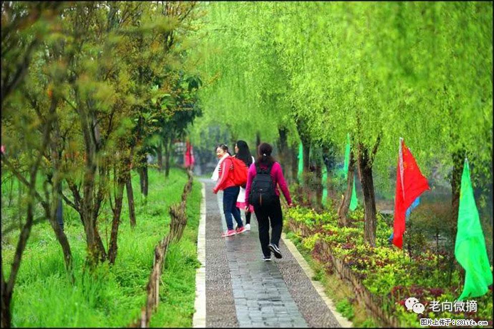 【春天,广西桂林灌阳县向您发出邀请!】江口老街又逢春 - 游山玩水 - 驻马店生活社区 - 驻马店28生活网 zmd.28life.com