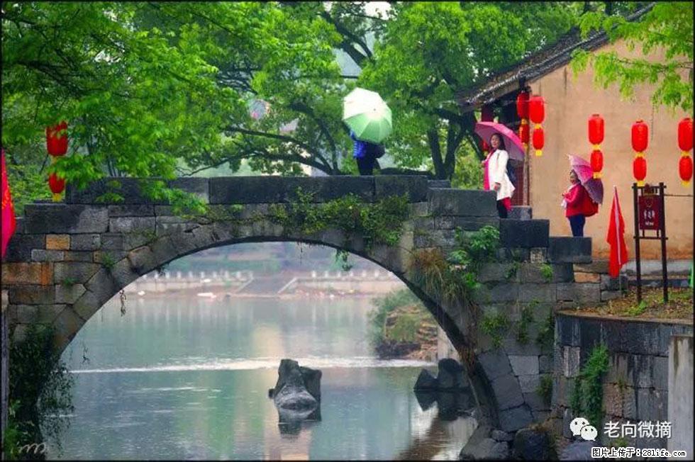 【春天,广西桂林灌阳县向您发出邀请!】江口老街又逢春 - 游山玩水 - 驻马店生活社区 - 驻马店28生活网 zmd.28life.com