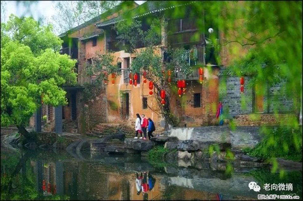 【春天,广西桂林灌阳县向您发出邀请!】江口老街又逢春 - 游山玩水 - 驻马店生活社区 - 驻马店28生活网 zmd.28life.com