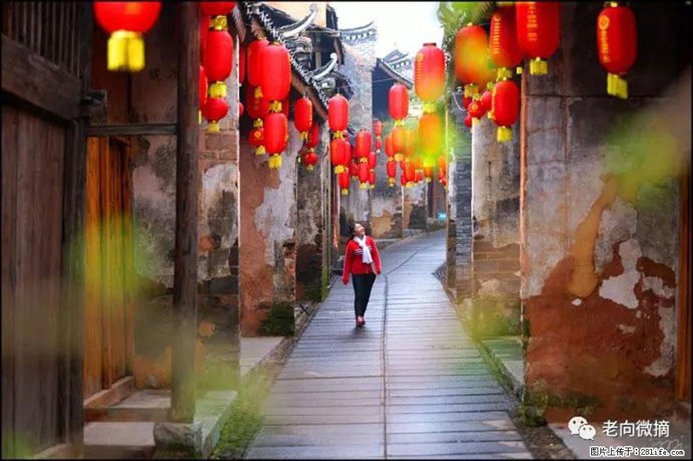 【春天,广西桂林灌阳县向您发出邀请!】江口老街又逢春 - 游山玩水 - 驻马店生活社区 - 驻马店28生活网 zmd.28life.com