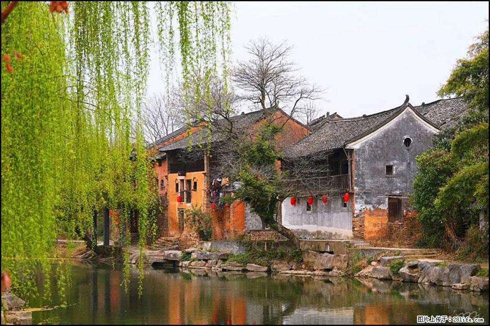 【春天,广西桂林灌阳县向您发出邀请!】江口老街又逢春 - 游山玩水 - 驻马店生活社区 - 驻马店28生活网 zmd.28life.com