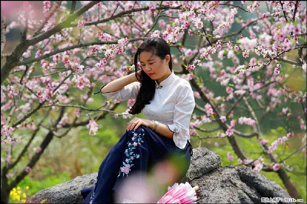 【春天,广西桂林灌阳县向您发出邀请!】望月岭上桃花开 - 游山玩水 - 驻马店生活社区 - 驻马店28生活网 zmd.28life.com