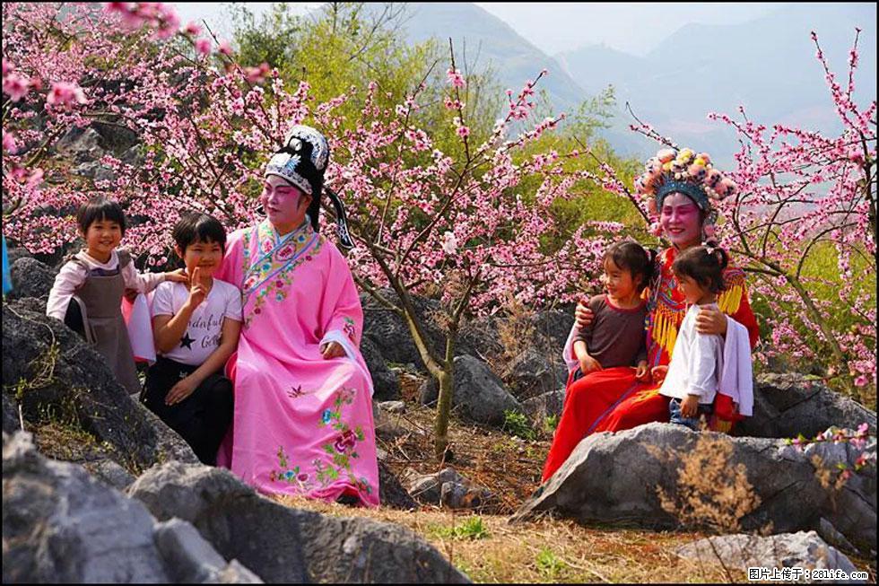 【春天,广西桂林灌阳县向您发出邀请!】望月岭上桃花开 - 游山玩水 - 驻马店生活社区 - 驻马店28生活网 zmd.28life.com