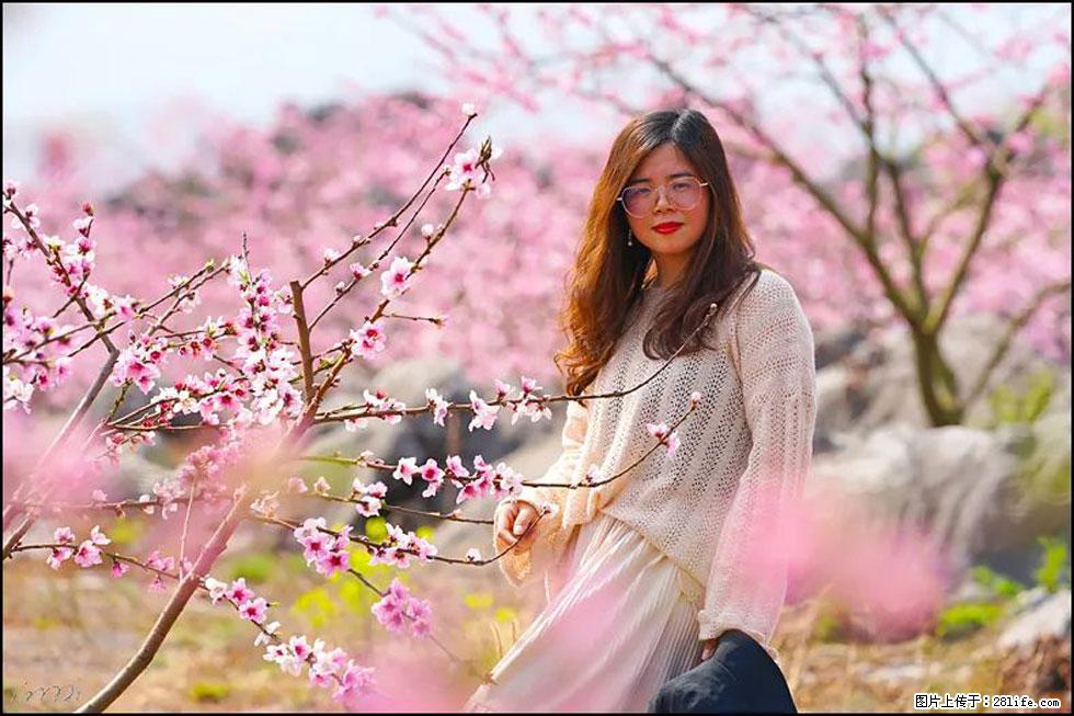 【春天,广西桂林灌阳县向您发出邀请!】望月岭上桃花开 - 游山玩水 - 驻马店生活社区 - 驻马店28生活网 zmd.28life.com