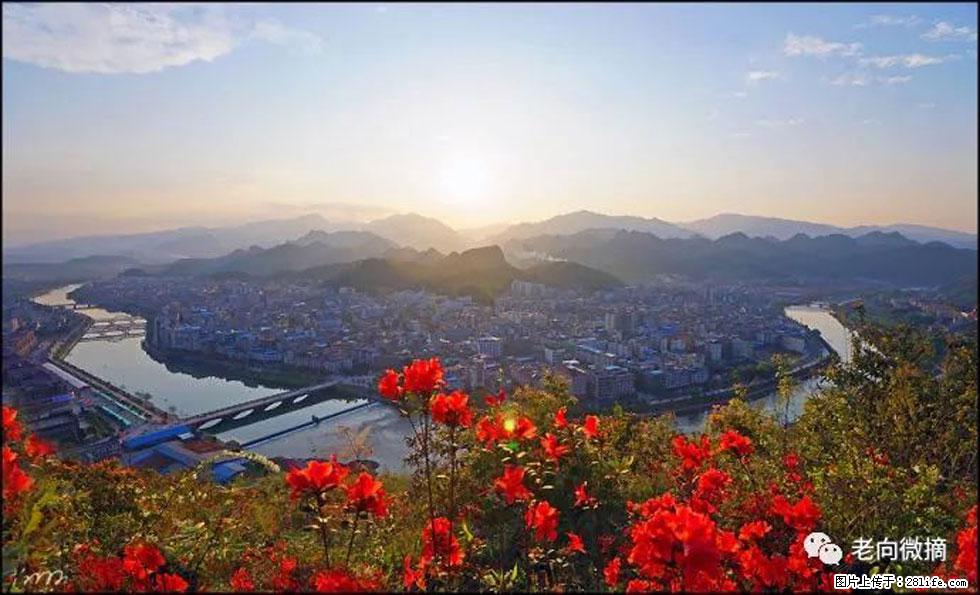 【春天，广西桂林灌阳县向您发出邀请！】登麒麟山，相约映山红 - 游山玩水 - 驻马店生活社区 - 驻马店28生活网 zmd.28life.com