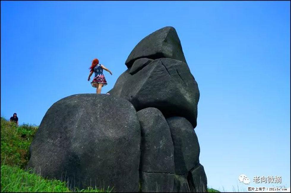 【春天，广西桂林灌阳县向您发出邀请！】宝盖山上映山红 - 游山玩水 - 驻马店生活社区 - 驻马店28生活网 zmd.28life.com