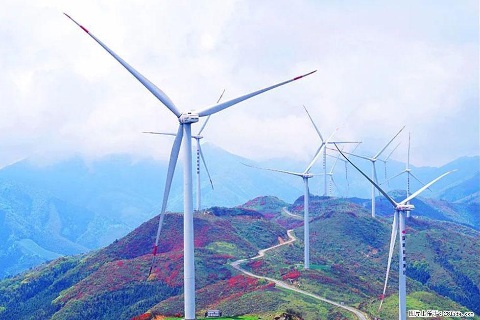 【春天，广西桂林灌阳县向您发出邀请！】春木界上映山红 - 游山玩水 - 驻马店生活社区 - 驻马店28生活网 zmd.28life.com