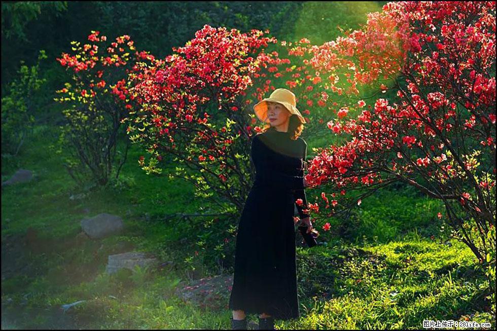 【春天，广西桂林灌阳县向您发出邀请！】春木界上映山红 - 游山玩水 - 驻马店生活社区 - 驻马店28生活网 zmd.28life.com