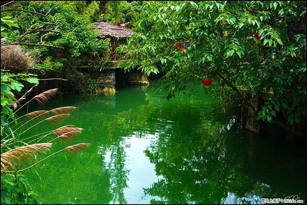 【春天,广西桂林灌阳县向您发出邀请!】如梦似幻莲溪庐 - 游山玩水 - 驻马店生活社区 - 驻马店28生活网 zmd.28life.com