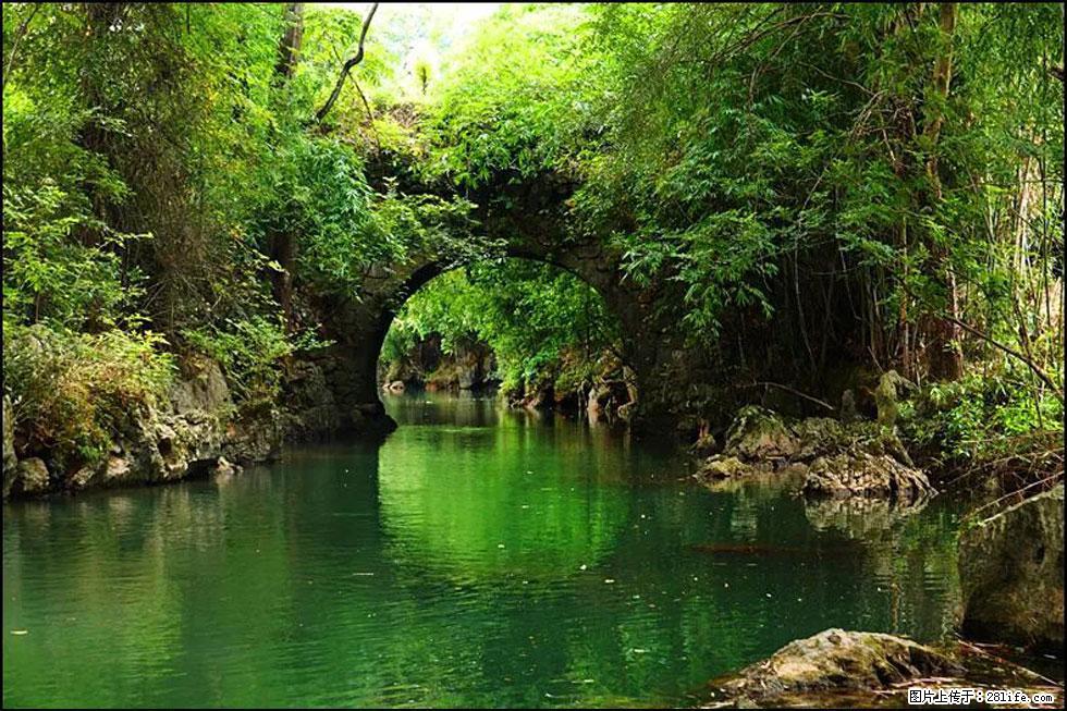 【春天,广西桂林灌阳县向您发出邀请!】如梦似幻莲溪庐 - 游山玩水 - 驻马店生活社区 - 驻马店28生活网 zmd.28life.com