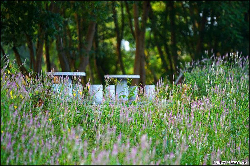 【春天,广西桂林灌阳县向您发出邀请!】熊家寨湿地公园 - 游山玩水 - 驻马店生活社区 - 驻马店28生活网 zmd.28life.com