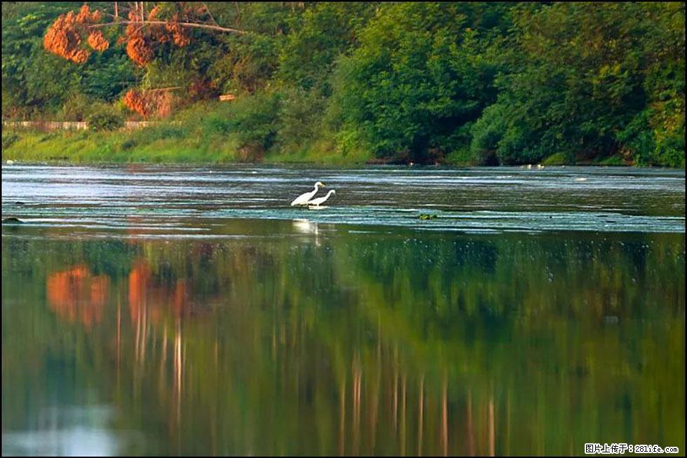 【春天,广西桂林灌阳县向您发出邀请!】熊家寨湿地公园 - 游山玩水 - 驻马店生活社区 - 驻马店28生活网 zmd.28life.com