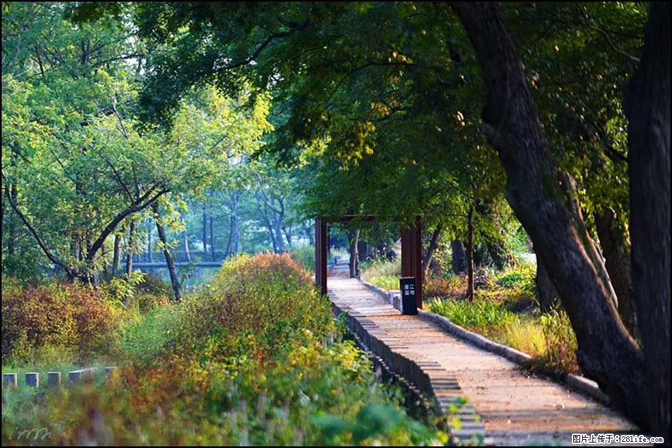 【春天,广西桂林灌阳县向您发出邀请!】熊家寨湿地公园 - 游山玩水 - 驻马店生活社区 - 驻马店28生活网 zmd.28life.com