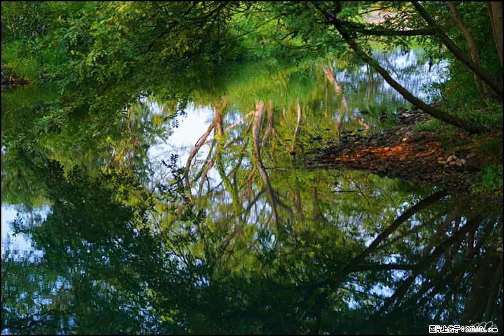 【春天,广西桂林灌阳县向您发出邀请!】熊家寨湿地公园 - 游山玩水 - 驻马店生活社区 - 驻马店28生活网 zmd.28life.com