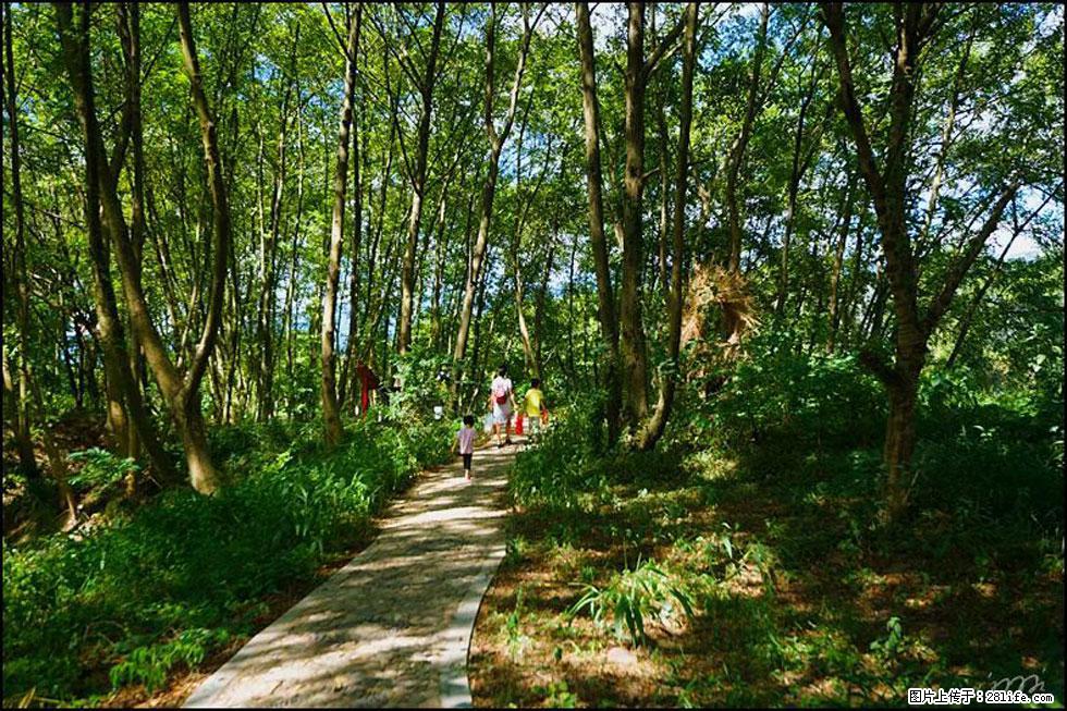 【春天,广西桂林灌阳县向您发出邀请!】熊家寨湿地公园 - 游山玩水 - 驻马店生活社区 - 驻马店28生活网 zmd.28life.com