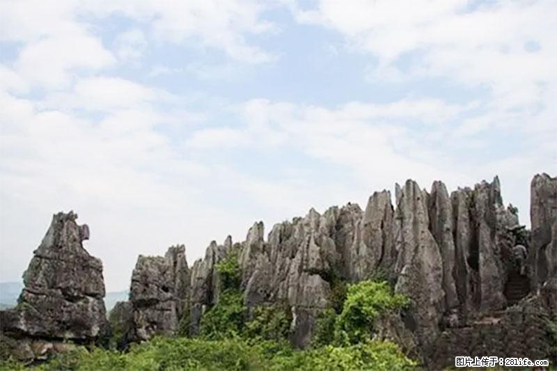 桂林旅游名城景点:灌阳文市石林 - 游山玩水 - 驻马店生活社区 - 驻马店28生活网 zmd.28life.com