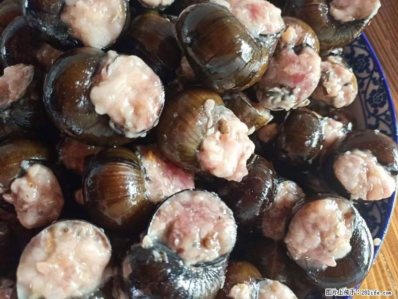 （舌尖上的乡村）灌阳：让人口齿留香的田螺酿 - 2023年07月31日 桂林日报第6版刊发 - 美食天地 - 驻马店生活社区 - 驻马店28生活网 zmd.28life.com