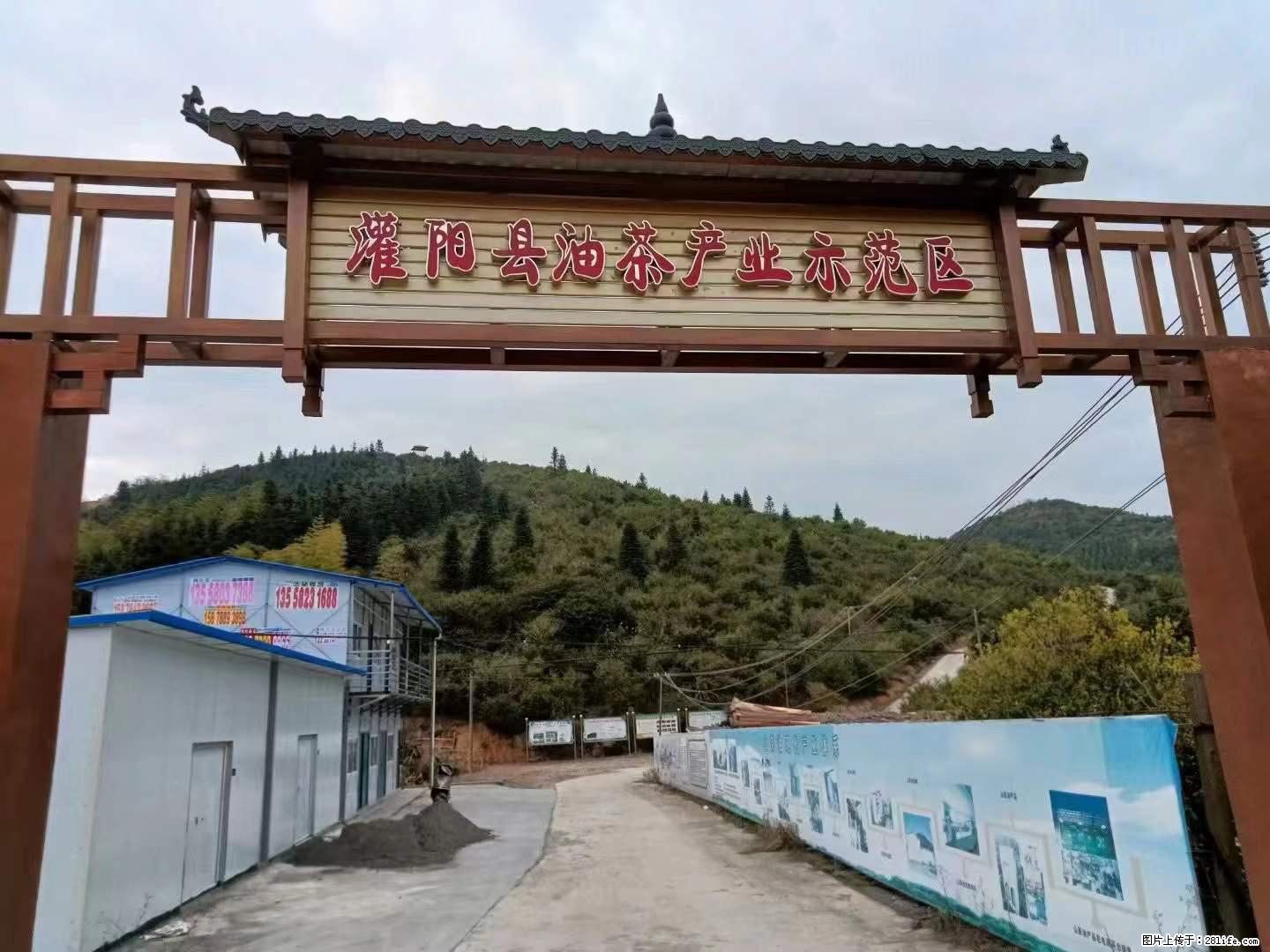 【灌阳县油茶产业示范区】一个有着充实的精神生活的人,对待身外之物自会有一种淡泊的态度 - 土特产 - 饮食特产 - 驻马店分类信息 - 驻马店28生活网 zmd.28life.com