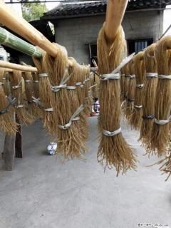 【灌阳正宗红薯粉】美女家里自己做的，干净卫生，假一赔十，价格合理，抢购电话：13737312895 - 驻马店28生活网 zmd.28life.com