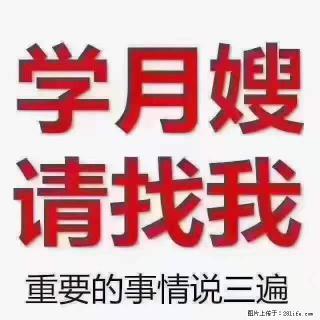 为什么要学习月嫂，育婴师？ - 驻马店28生活网 zmd.28life.com