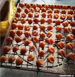 广西桂林平乐桥亭【柿饼之乡】2025年纯手工制作、无任何添加剂的第一批柿饼准备上市了，欢迎联系订购！ - 驻马店28生活网 zmd.28life.com