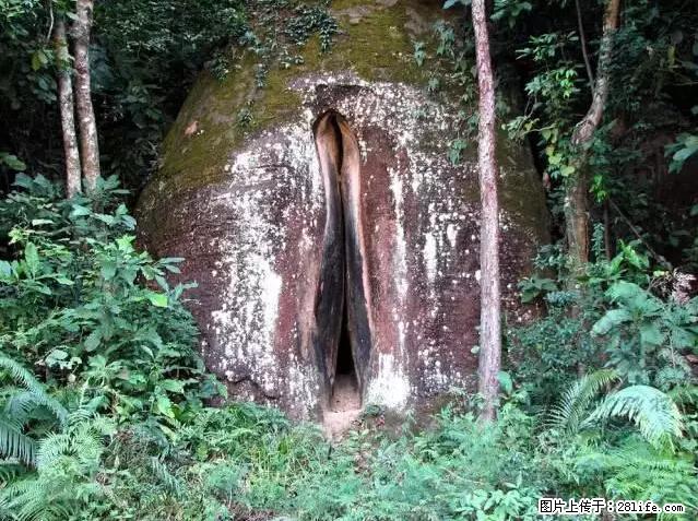 让人脸红的流氓景点，大自然真的有点色 - 灌水专区 - 驻马店生活社区 - 驻马店28生活网 zmd.28life.com