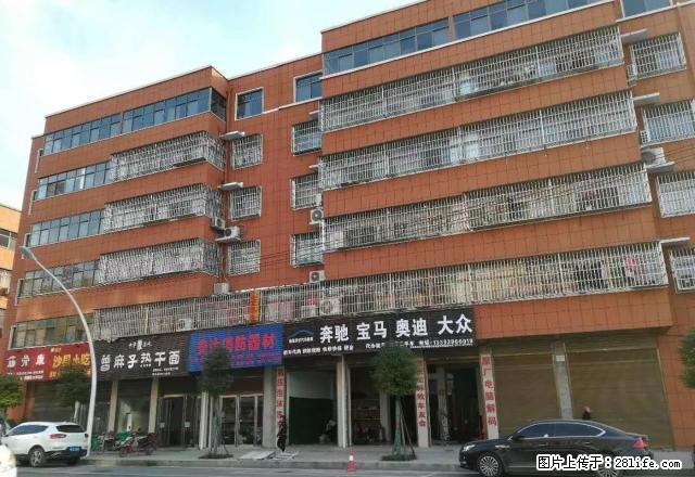 门面房出租300平方左右 无转让费 位于盘龙山路南段 面议 - 房屋出租 - 房屋租售 - 驻马店分类信息 - 驻马店28生活网 zmd.28life.com