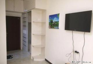 情侣公寓实验学校附近天中第1大街豪华装修1000 - 驻马店28生活网 zmd.28life.com