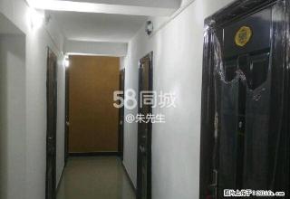 精装单间解放路中段电业局对面 1室1厅0卫 - 驻马店28生活网 zmd.28life.com