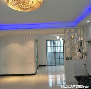 建业森林半岛 3室2厅 精装修 家具家电齐全 拎包即住 - 驻马店28生活网 zmd.28life.com