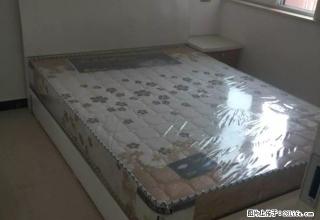 两室两厅一卫 家电齐全拎包就住欢迎来电 - 驻马店28生活网 zmd.28life.com