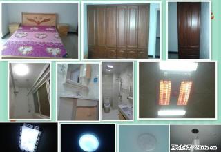 东高国际花园 中等装修 经典3房 随时入住 - 驻马店28生活网 zmd.28life.com