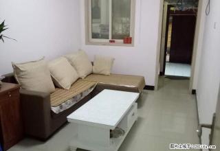 名珠港湾.精装房出租.................... - 驻马店28生活网 zmd.28life.com