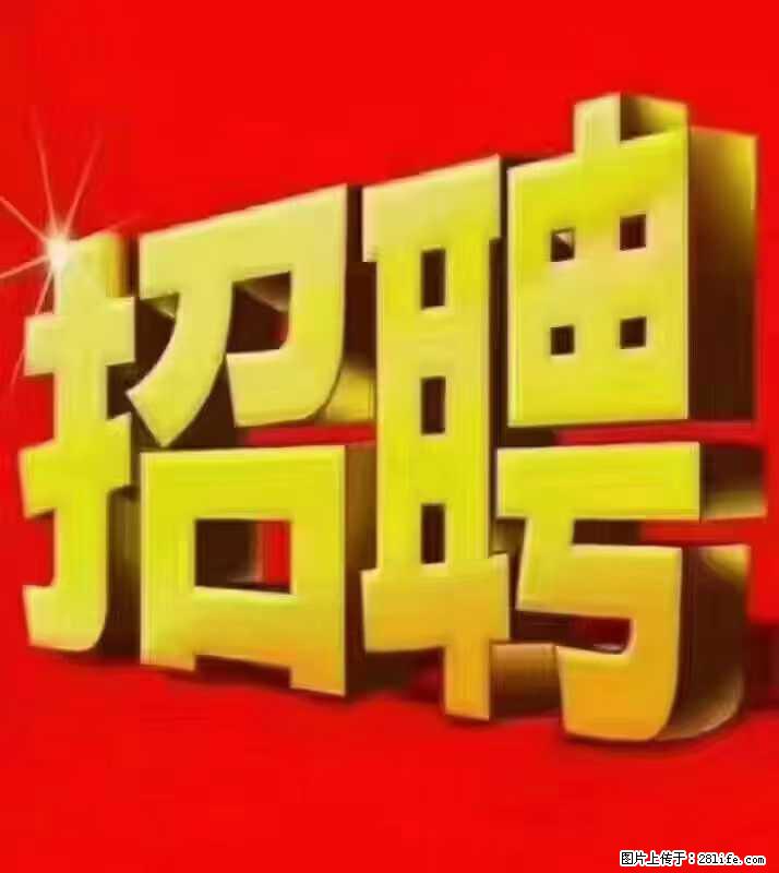 【东莞市威萨电子科技有限公司】公司直招:外贸业务、仓管员、跟单文员、普工 - 职场交流 - 驻马店生活社区 - 驻马店28生活网 zmd.28life.com