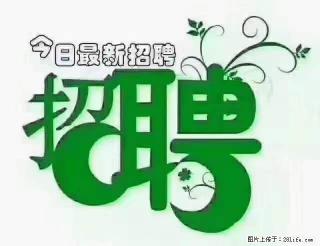【招聘摄像师】待遇：试用期6000元/月，转正7000元/月+五险一金+餐补+节日福利+奖金 - 驻马店28生活网 zmd.28life.com