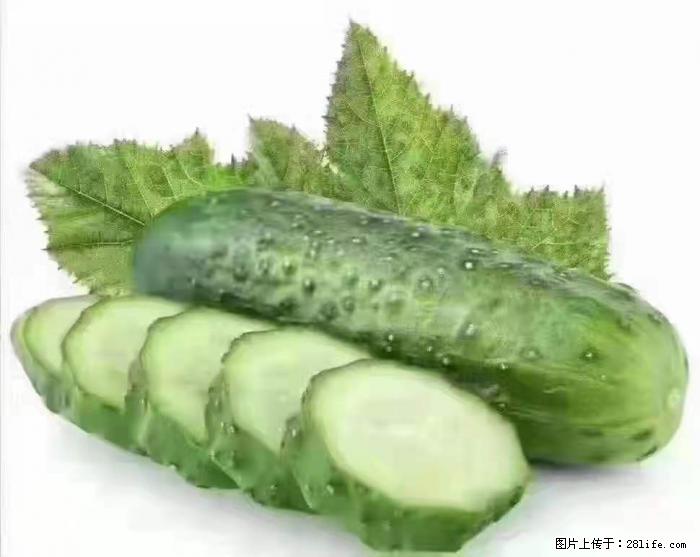 【生活小常识】吃黄瓜的好处 - 生活百科 - 驻马店生活社区 - 驻马店28生活网 zmd.28life.com