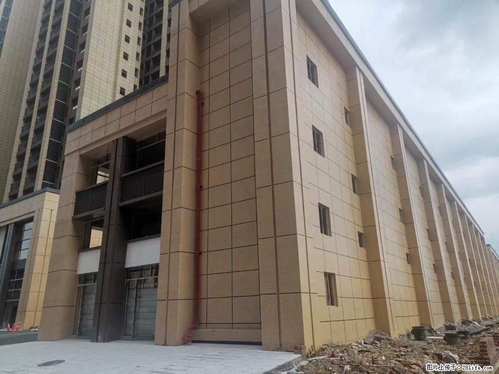 【广西三象建筑安装工程有限公司】外墙涂料工程 - 新手上路 - 驻马店生活社区 - 驻马店28生活网 zmd.28life.com