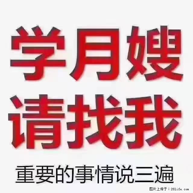 【招聘】月嫂,上海徐汇区 - 职场交流 - 驻马店生活社区 - 驻马店28生活网 zmd.28life.com