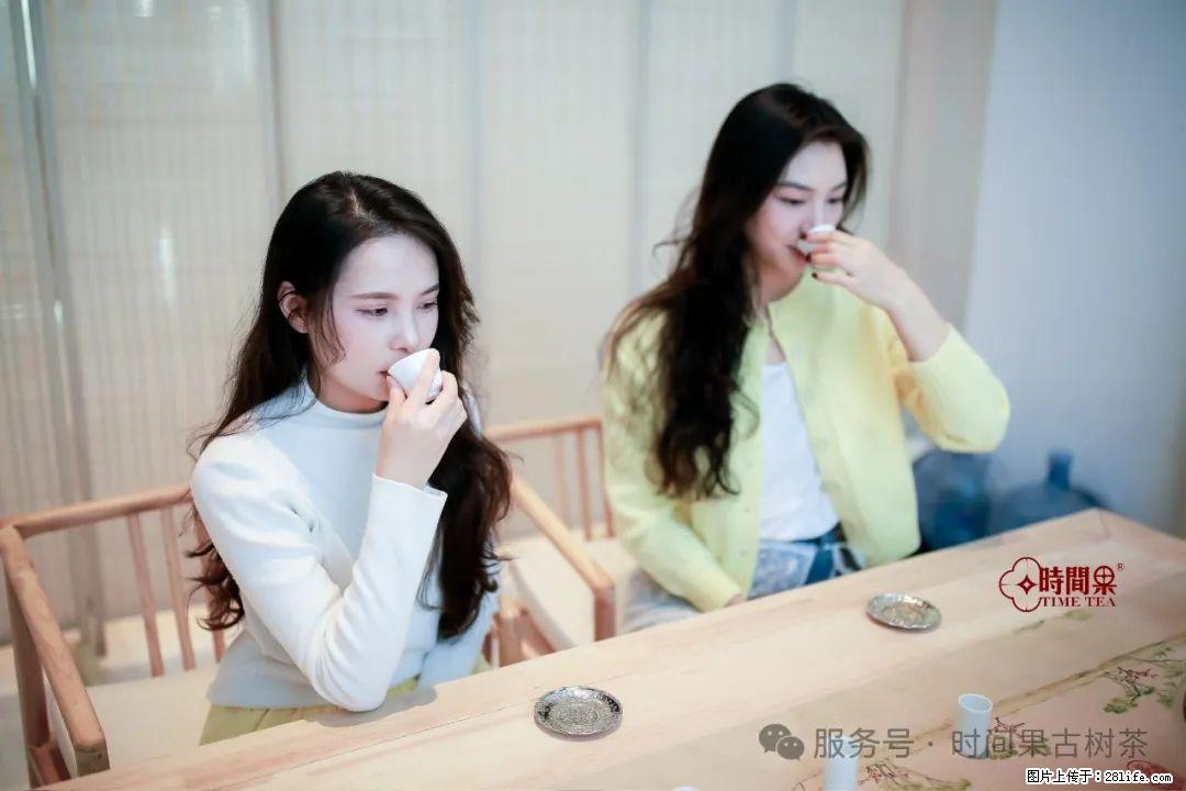 时间果百年古树龙珠普洱生茶 - 购物交流 - 驻马店生活社区 - 驻马店28生活网 zmd.28life.com