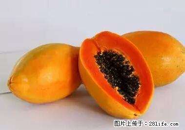 晕车、脚气、牙齿变黄、皮肤粗糙?学会这些三分钟搞定! - 驻马店生活资讯 - 驻马店28生活网 zmd.28life.com