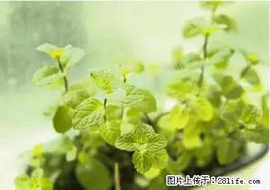 晕车、脚气、牙齿变黄、皮肤粗糙?学会这些三分钟搞定! - 驻马店生活资讯 - 驻马店28生活网 zmd.28life.com