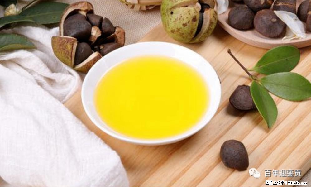 揭秘茶油的5大核心营养成分！被称为人体健康的“守护盾”！ - 驻马店生活资讯 - 驻马店28生活网 zmd.28life.com