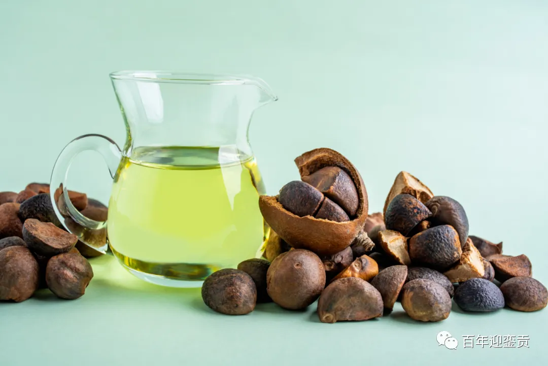 世界没有真相，只有认知，最好的食用油是中国的山茶油！ - 驻马店生活资讯 - 驻马店28生活网 zmd.28life.com