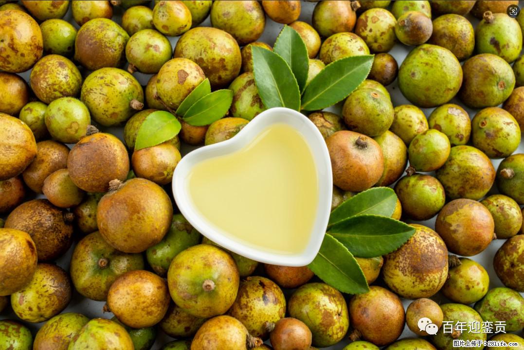 世界没有真相，只有认知，最好的食用油是中国的山茶油！ - 驻马店生活资讯 - 驻马店28生活网 zmd.28life.com