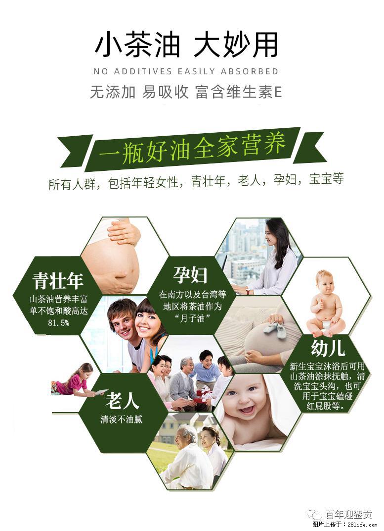 世界没有真相，只有认知，最好的食用油是中国的山茶油！ - 驻马店生活资讯 - 驻马店28生活网 zmd.28life.com