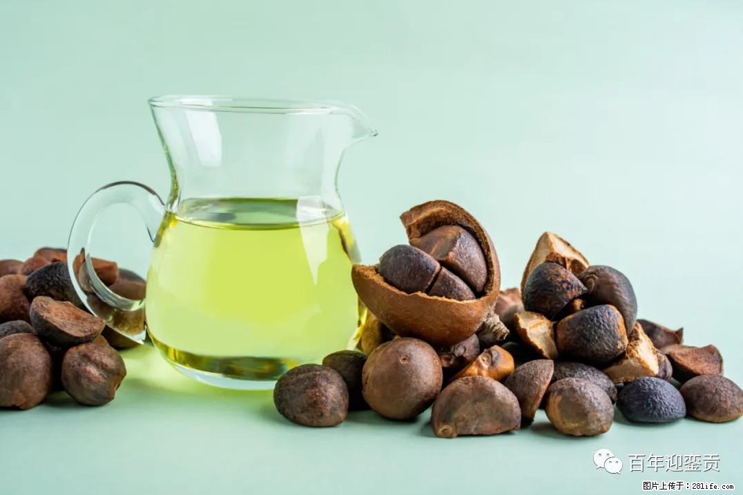 世界没有真相，只有认知，最好的食用油是中国的山茶油！ - 驻马店生活资讯 - 驻马店28生活网 zmd.28life.com