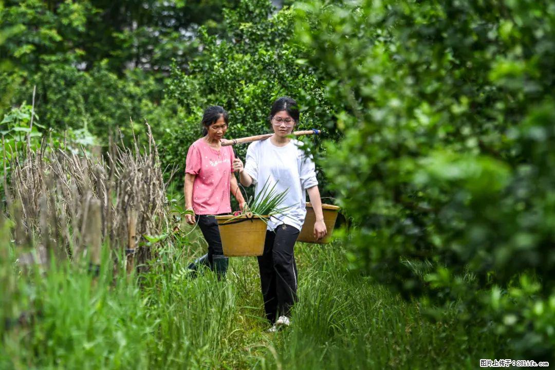 全网追的“扁担女孩”，找了一份暑假工，时薪12元 - 驻马店生活资讯 - 驻马店28生活网 zmd.28life.com